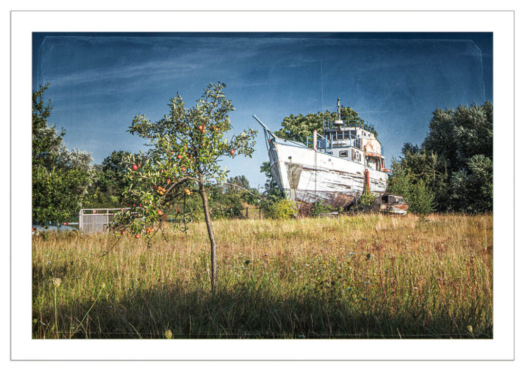 Cutter on Land