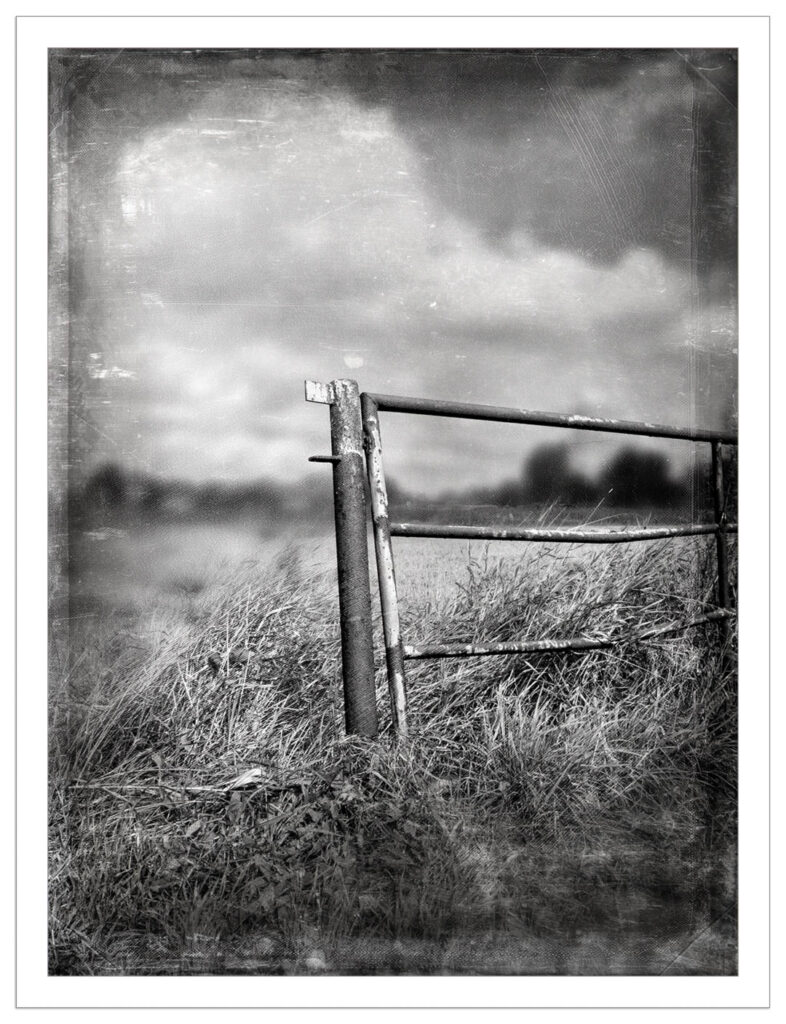 Gate in the Meadow