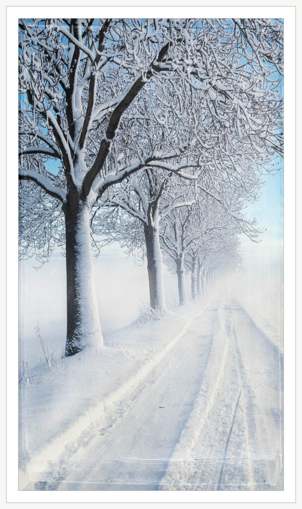 Snow-covered Feldstegel Road green web apc 3180 169 p edit p vwet 118 winter im feldstegel 2026