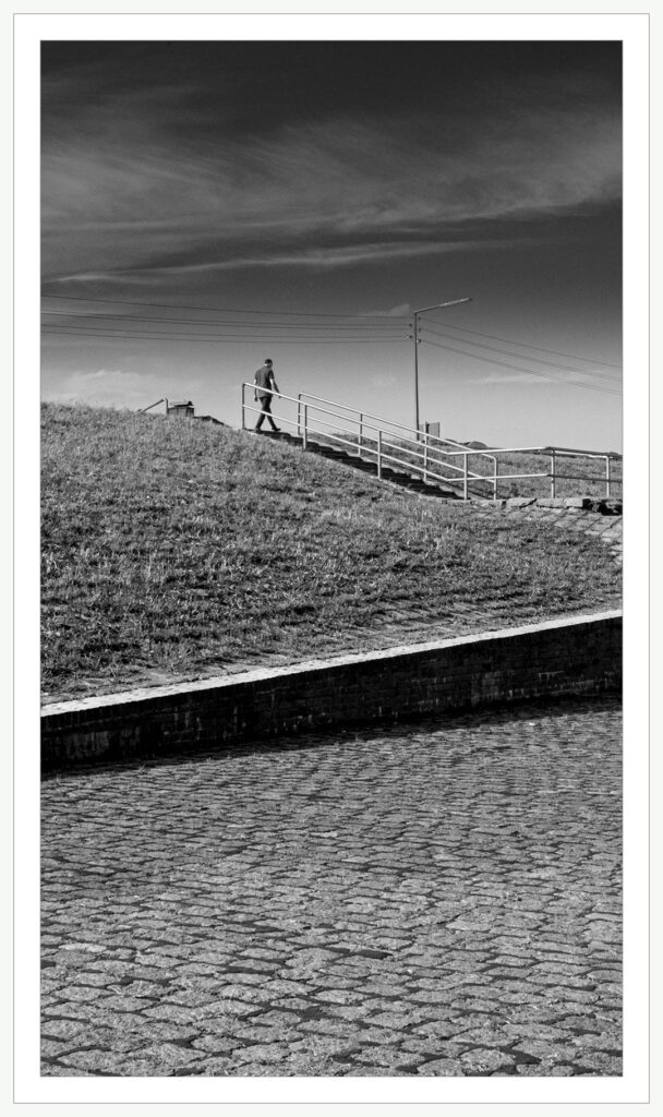 Dike at Zollenspieker green web 1080722 169 p hhbw 26 am deich am zollenspieker